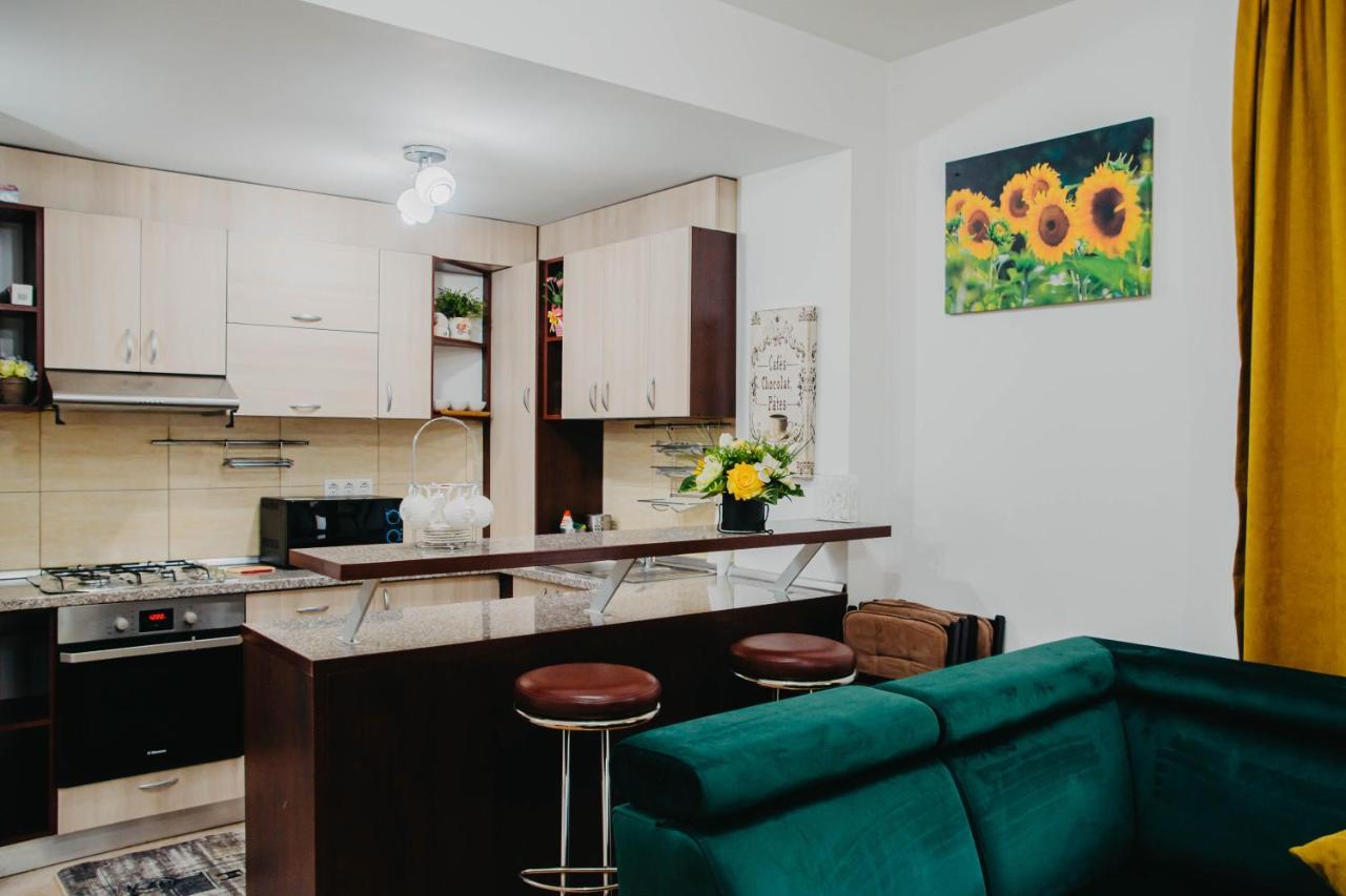 Apartmán Hugo Mountain Sinaia Exteriér fotografie