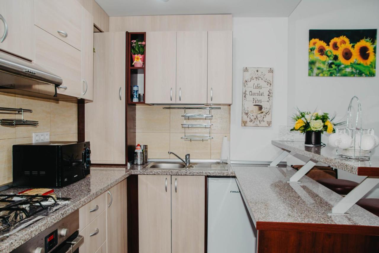 Apartmán Hugo Mountain Sinaia Exteriér fotografie
